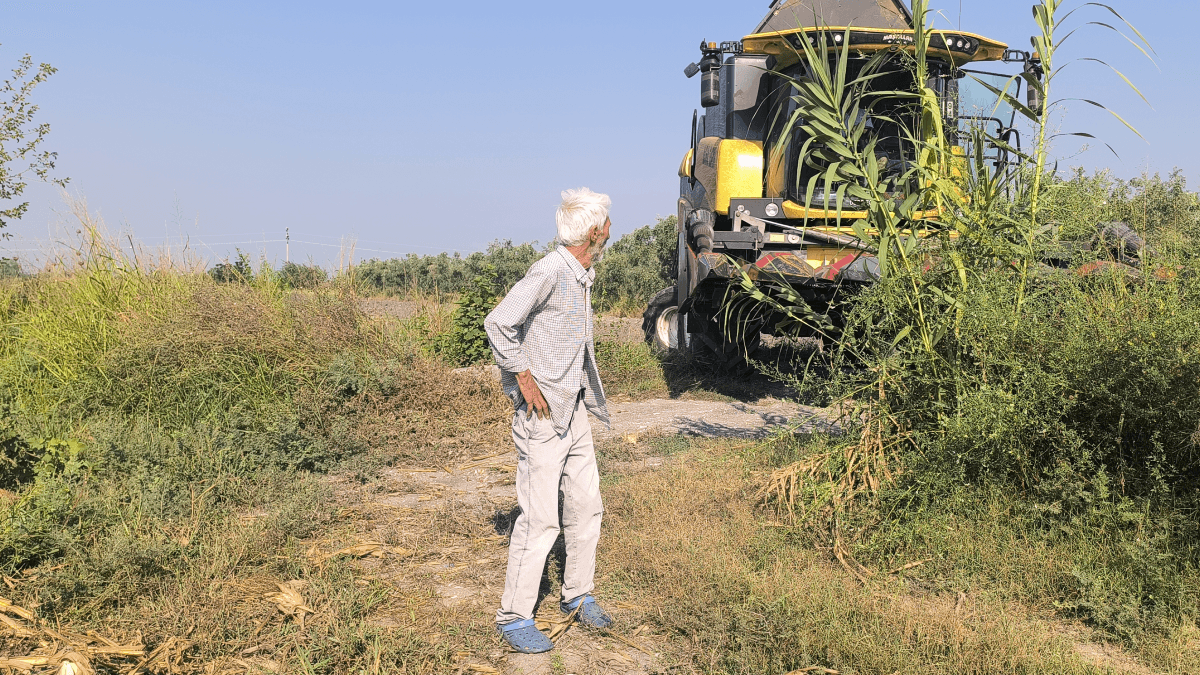 Tarlaya giren kişi talihsiz bir olayla karşılaştı